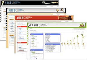 Themes
