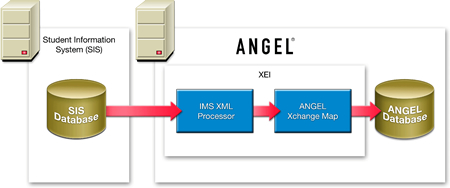 XEI Process